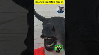 TDS tiveram um bom final de semana, né? Mas a Excrementíssima Direita, QUANTA FRUSTRAÇÃO E RAIVA...