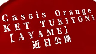 【告知】2nd Single 【AYAME】制作決定！