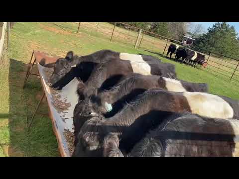 Feel the calm settle in