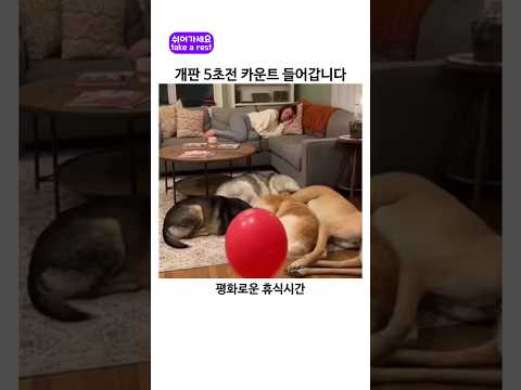 The Samgyetang fired a gun