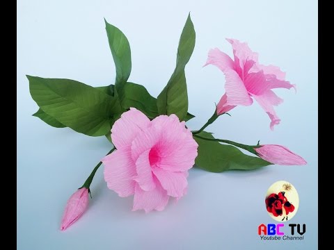 download lagu mp3 mp4 Double Pink Mandevilla, download lagu Double Pink Mandevilla gratis, unduh video klip Double Pink Mandevilla