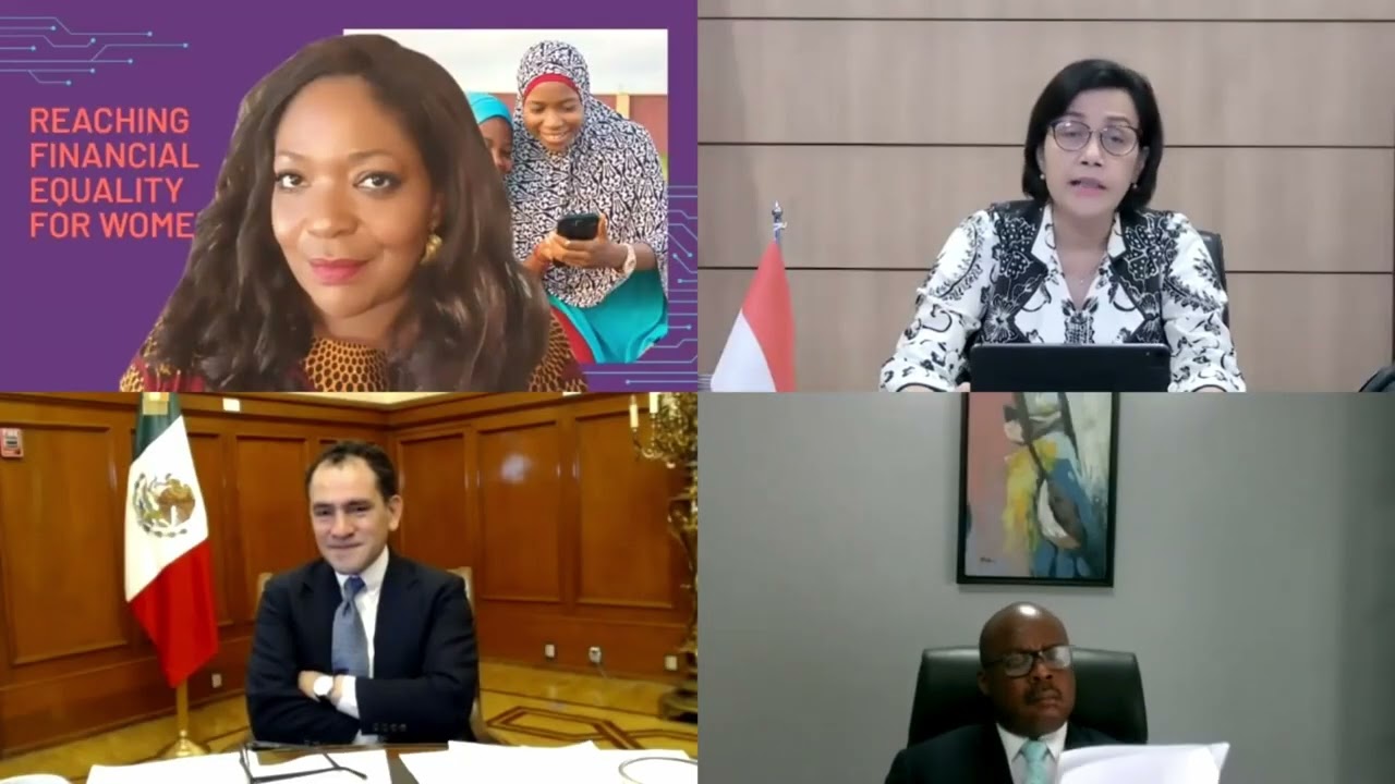 Better Than Cash Alliance - A video introduction to our work at UNDP's Sustainable Finance Hub