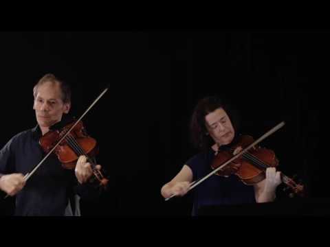 Viola Spaces Duos no 8 - circular bow etc