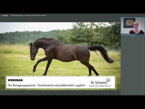 Der Bewegungsapparat - faszinierend und problematisch zugleich.