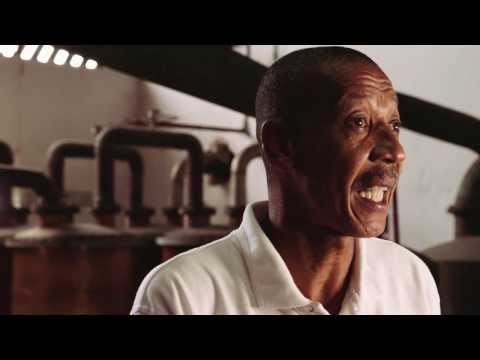 How Authentic Caribbean Rum Is Made