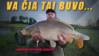 Nerealiai stiprūs karpiai spiningu ir PAMESTAS ŽIEDAS. Kaip ir ant ko juos pavyksta pagauti?