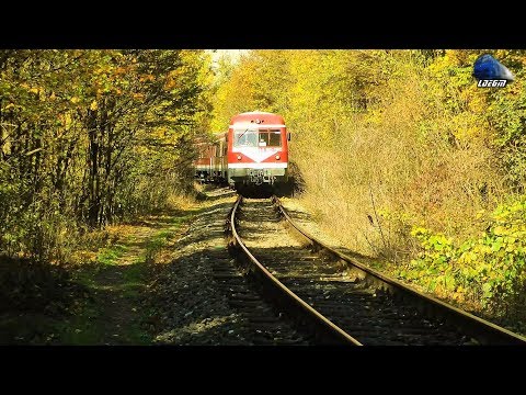 Automotor VT614 DMU/Diesel Triebwagen in Muntii Apuseni Mountains [Autumn Edition] 20 October 2017