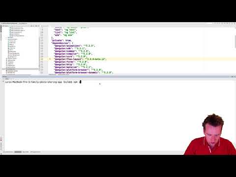 The Advanced Photo Sharing App | S1p31 | Install Angularfire and intro to package json file