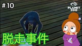 第２章・類人猿保護プロジェクト《プラネットズー/初見》女性実況 #10