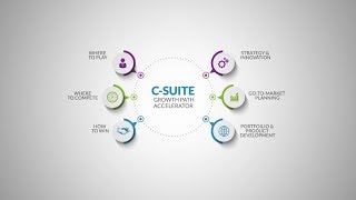 C Suite | A Fusion of Industry, Functional and Analytical Expertise