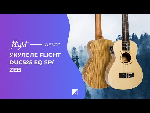 Обзор укулеле Flight DUC 525 EQ