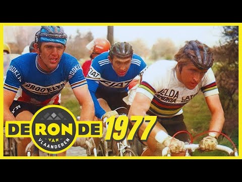 All against MERCKX - Tour of Flanders 1977 - 🇧🇪DE RONDE VAN VLAANDEREN🇧🇪