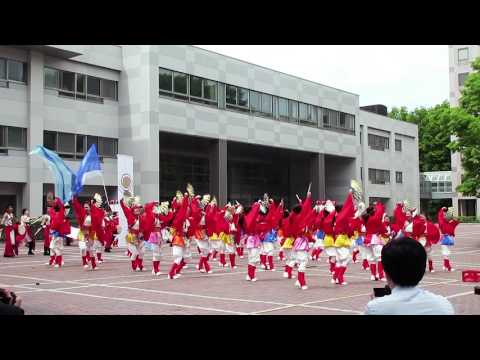 【YOSAKOIソーラン部】“コカ・コーラ札幌国際大学”出陣式