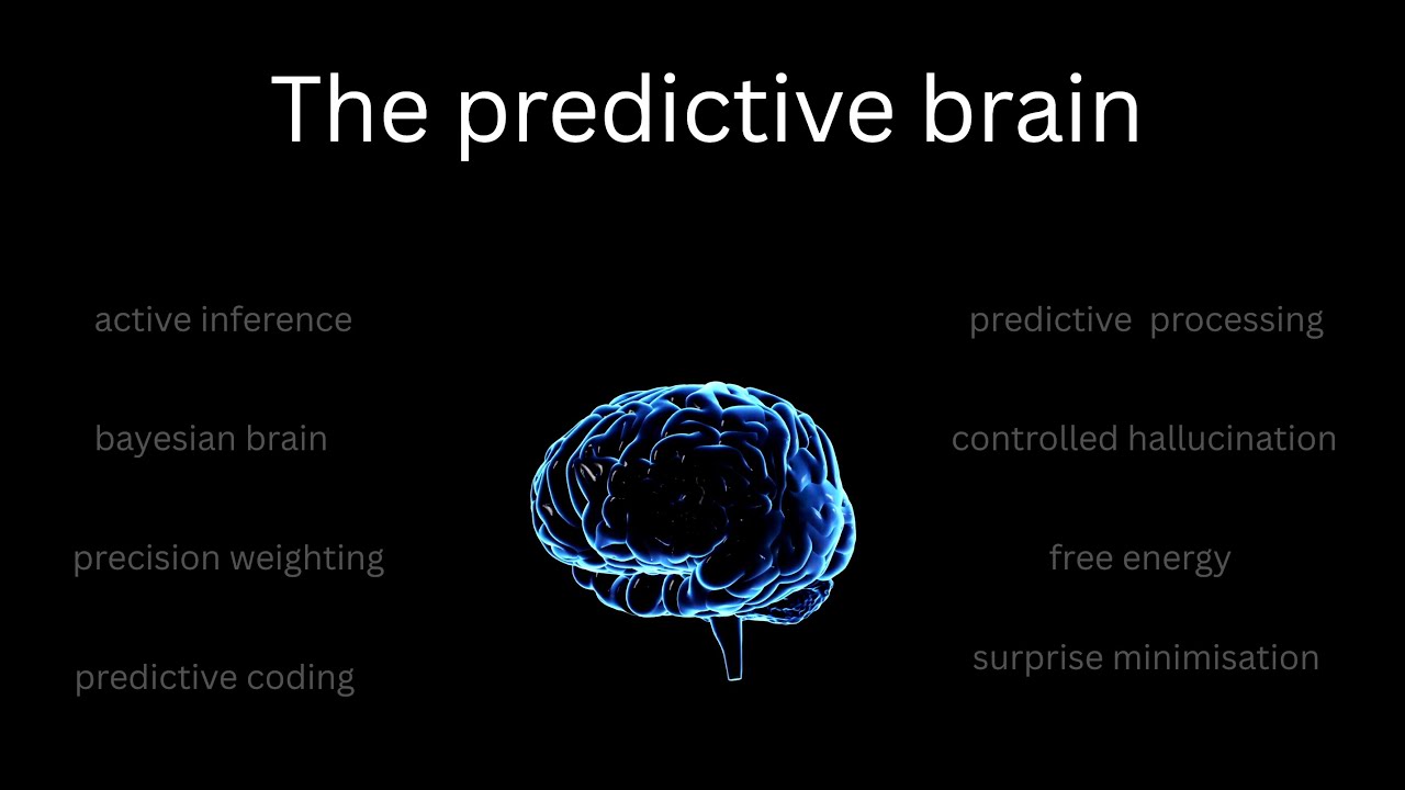 Predictive processing in 15 minutes