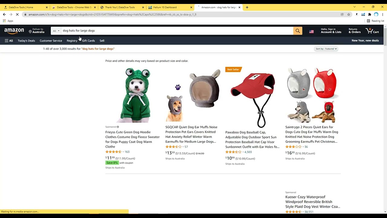 installing DataDive first time