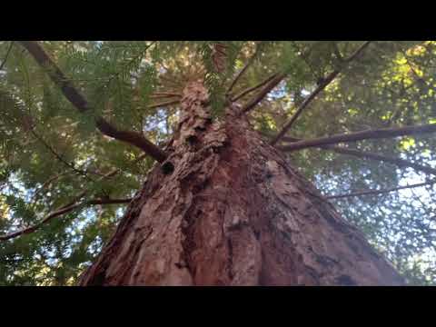 Vocalise by Rachmaninoff, Edwin Huizinga & Melinda Armstead