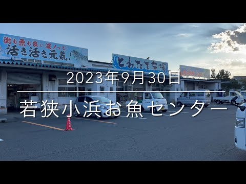 [Primera publicación pública] Amplia investigación sobre el pescado fresco en el mercado matutino oculto de la prefectura de Fukui "Wakasa Obama Fish Center"