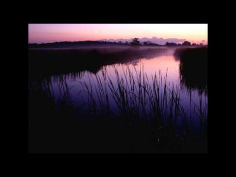 Ніна Матвієнко. Сміються плачуть солов'ї