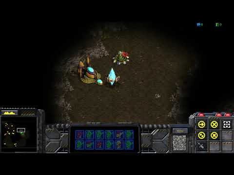 StarCraft: Brood War Alternate - The Union 01 - The Evacuation