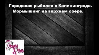 Рыбалка на верхнем озере в калининграде
