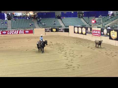 2019 NRCHA Futurity non pro limited- Cow work
