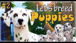 🐶 The Sims 4 Cats and Dogs | Let