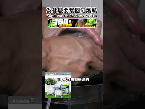 圓形魚缸 不好