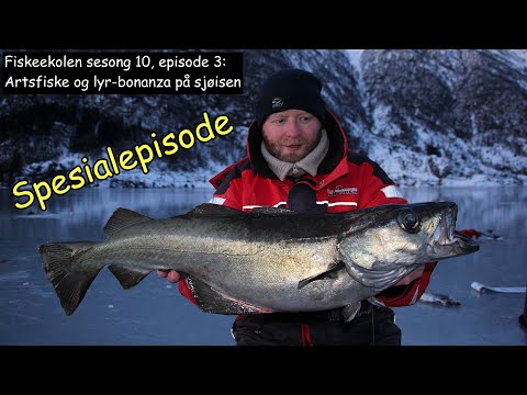 Artsfiskeri på en tilfrosset norsk fjord