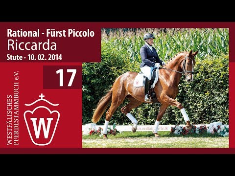 17 Riccarda Stute v. Rational  - Fürst Piccolo