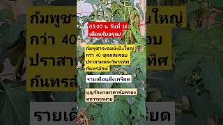 Download lagu #remix #dj #edm #music #sound #automobile #plants #colonelkkjϟ #thaifood #mindset mp3 Download lagu #remix #dj #edm #music #sound #automobile #plants #colonelkkjϟ #thaifood #mindset mp3