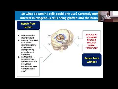 What is Cell Replacement Therapy for Parkinson's? (Rallying 2024)