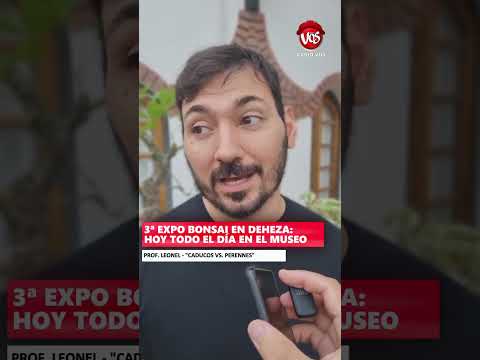 GENERAL DEHEZA: 3ª EXPO BONSAI EN DEHEZA.
