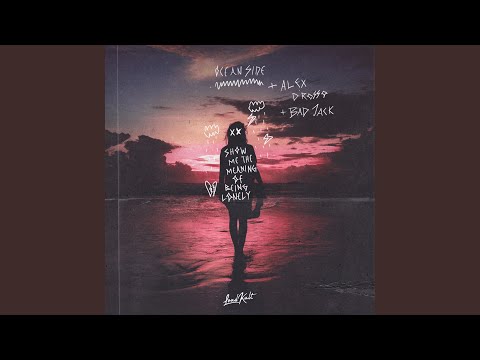 Show Me The Meaning Of Being Lonely