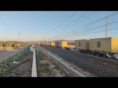 Medway: TC Bologna Int. - San Ferdinando in transito.