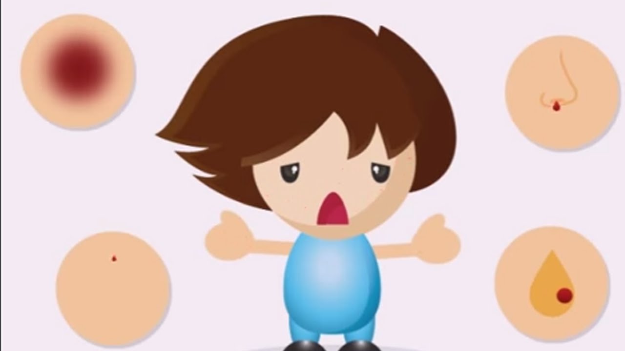 Cibele Cristina Castilho-13