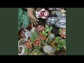 Get Used to It - Ben Lee - Topic Get Used to It
