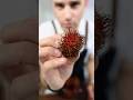 Trying This Food No Idea What It Is Rambutan