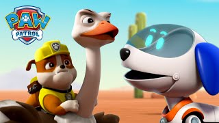 Robo Dog saves Rubble from a run-away Ostrich! | PAW Patrol Episode | Cartoons for Kids Compilation