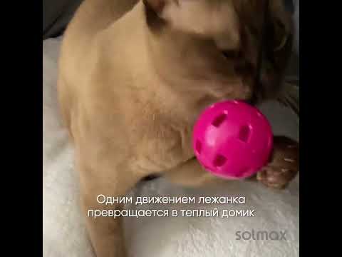 Миниатюра изображения товара Лежанка для животных Solmax&Zoo MUZ54778