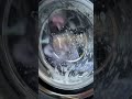 Samsung Cottons 90 Main Wash
