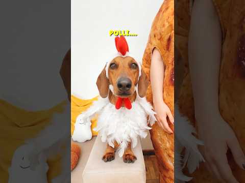 El POLLO gigante es todo MÍO! 🍗😋
