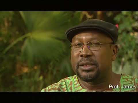 Ezekiel Mphahlele video 3