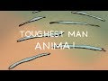 Toughest Man by ANIMA