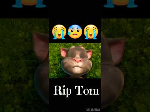 Talking Tom R.i.p 😭 #talkingtom #shorts