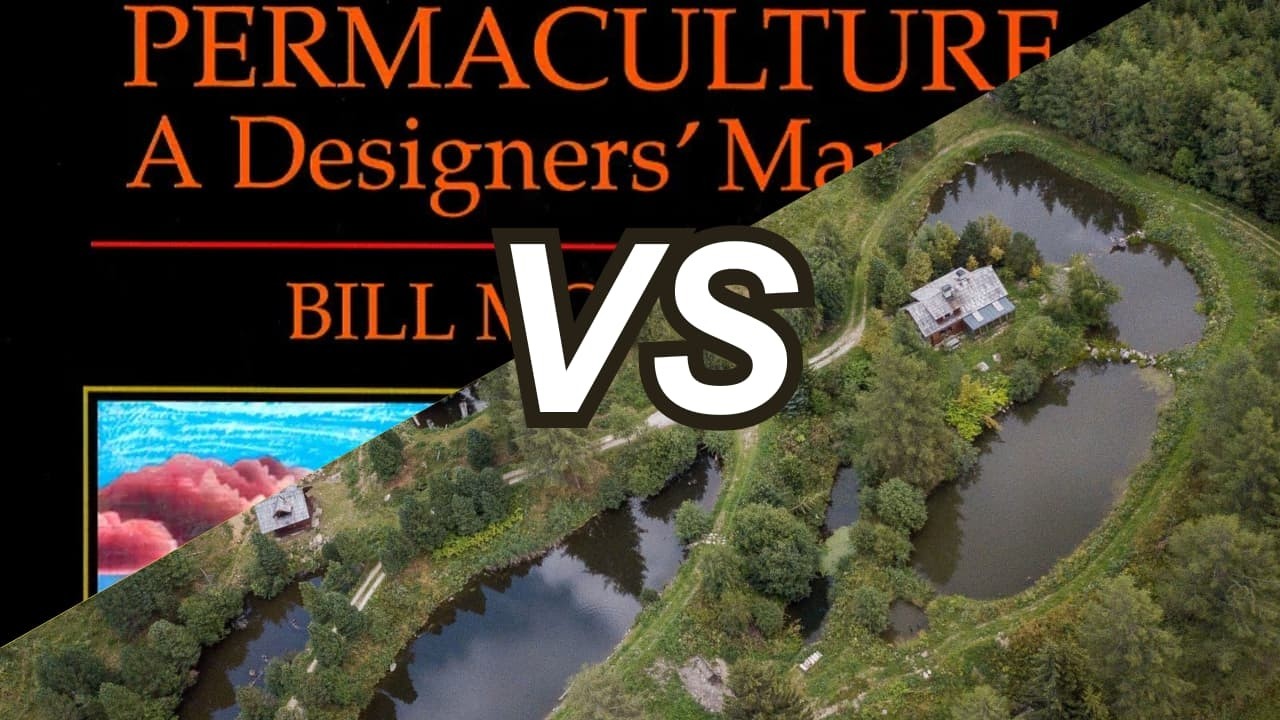 Theory vs Practice: Why Sepp Holzer Eventually REJECTED Permaculture (And What Works Better)
