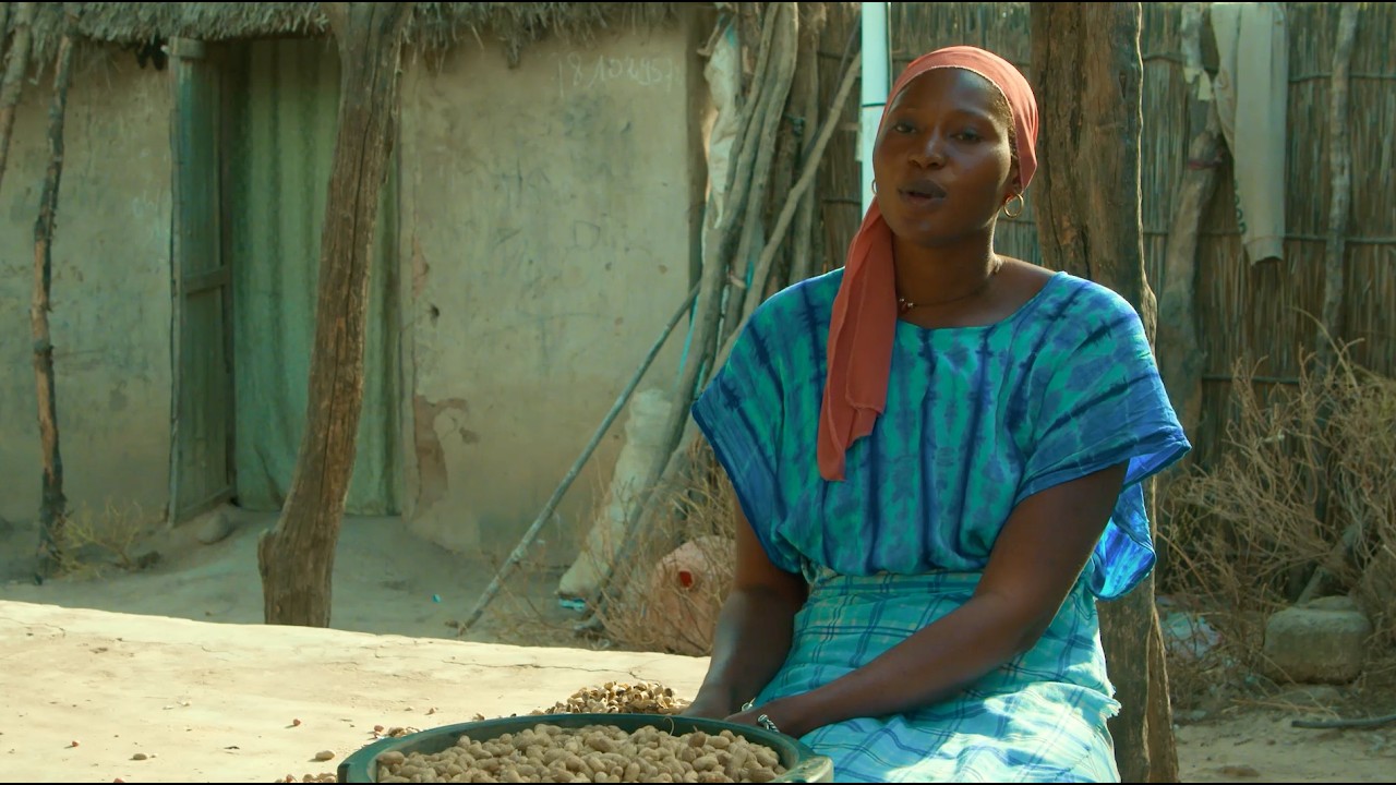 🇸🇳 SENEGAL - A high-impact insurance solution for farmers facing climate risk