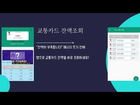 Korea Transit Card Balance