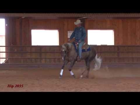 Who Whiz Tuff - Todd Sommers