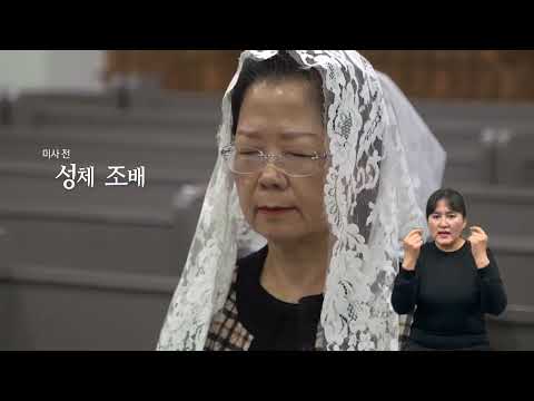 「교리는」의 한국수어 표현