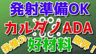 カルダノADA 好材料連発！発射準備OK！やっぱり大好きキャールズさん！あっちゃん仮想通貨ニュース